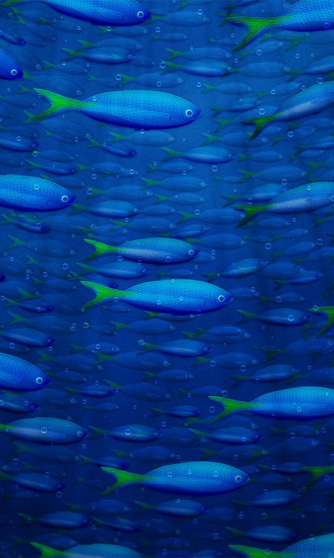 рыбки - подводный мир