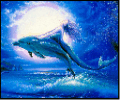 Дельфин и Русалка